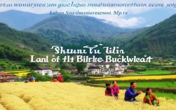 陕西榆林，苦荞之乡如何打造生态旅游新体验？