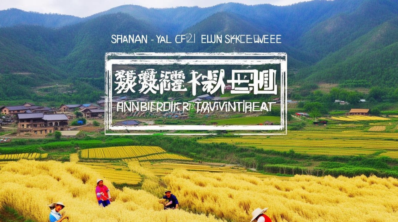 陕西榆林，苦荞之乡如何打造生态旅游新体验？-图3