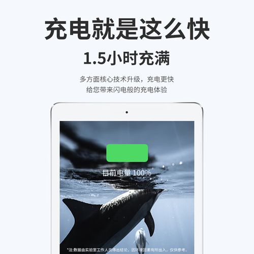 ipad pro 9.7 电池容量