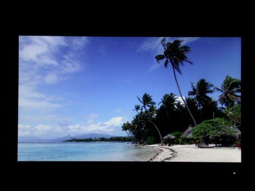 三星2243swplus显示器常出故障