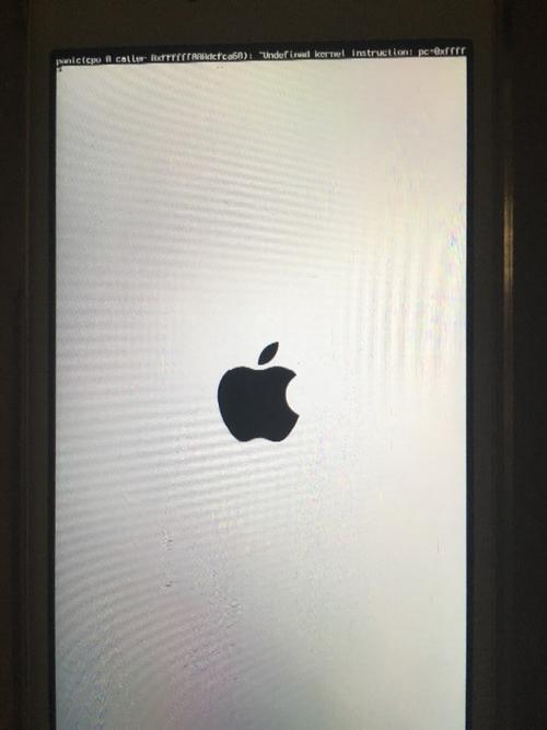 iphone5s换电池后蓝屏