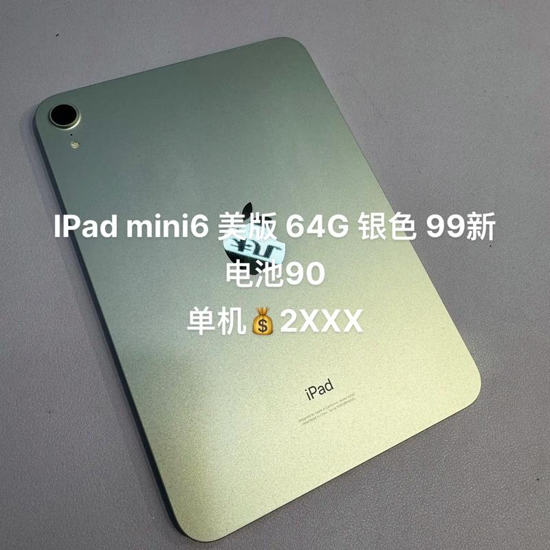 ipad mini是什么电池