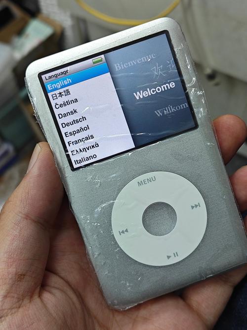 ipod classic电池