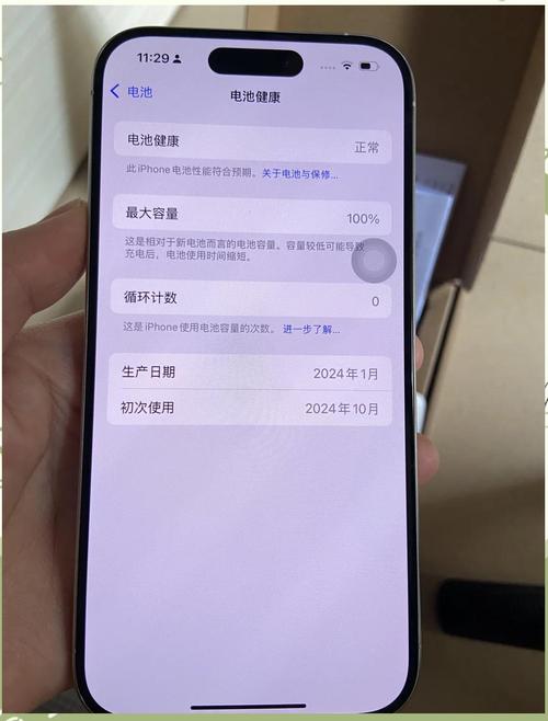 iPhone设置电池使用情况