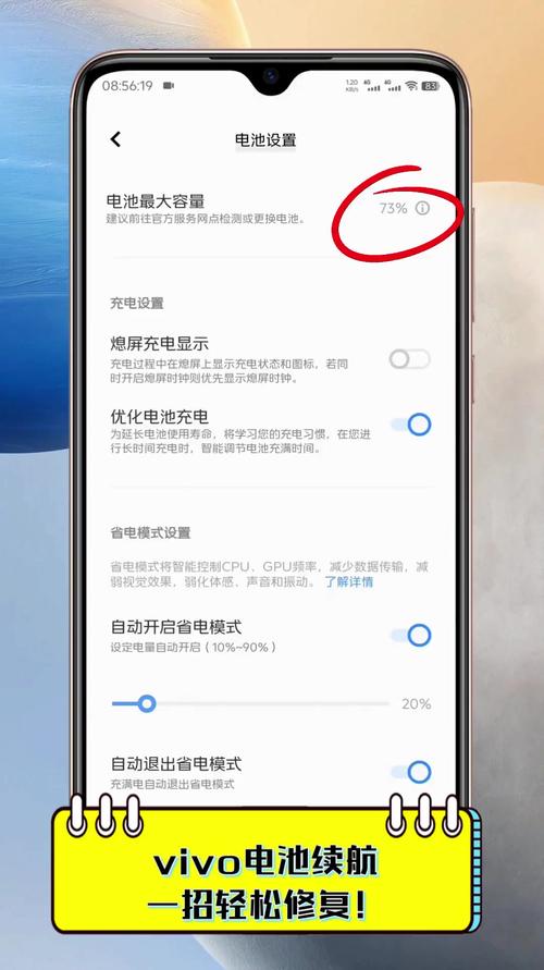 vivo手机电池不耐用怎么办