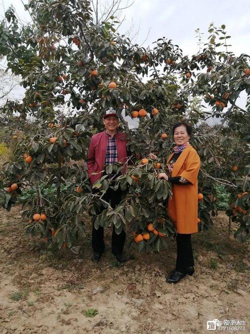 江西废铁今天价柿行惰