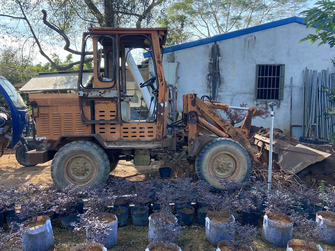 旧车当废铁卖有影响吗