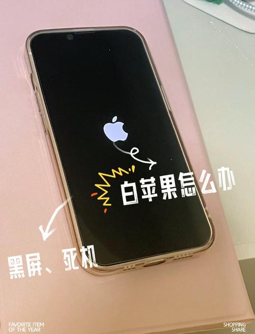 iphone换电池开不开机