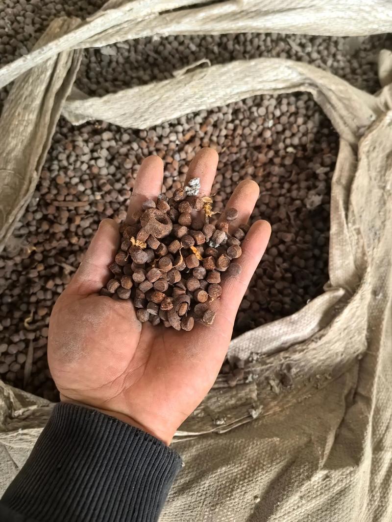 江苏废铜废铁那里回收