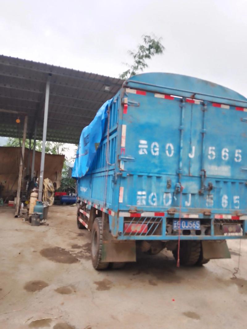 今日废铁 佛山 长江