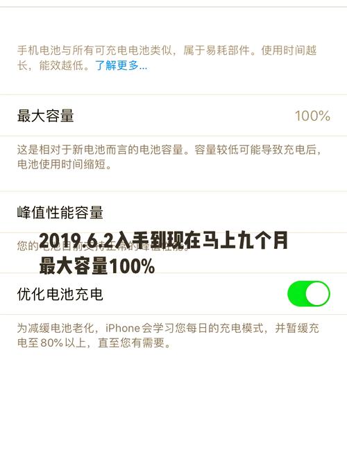 如何检测苹果手机电池寿命