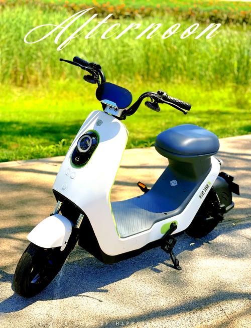 锂电池电动自行车 推荐