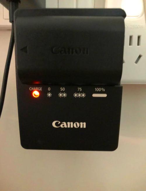 佳能600d用什么电池