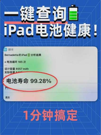 ipad怎么看电池循环