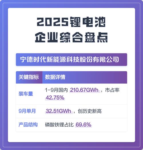 2025中国锂电池企业