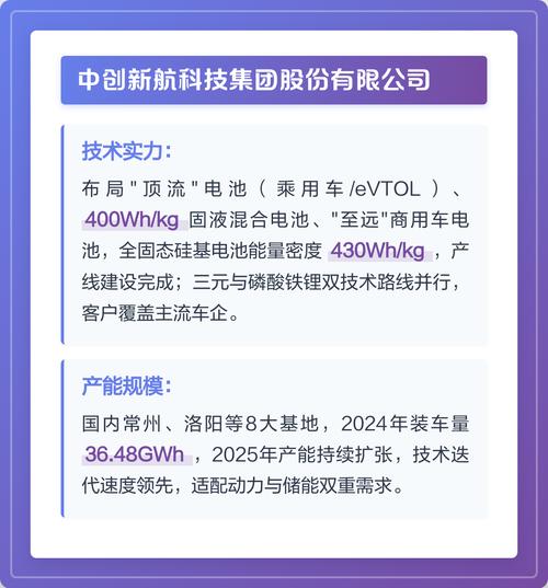 2025中国锂电池企业